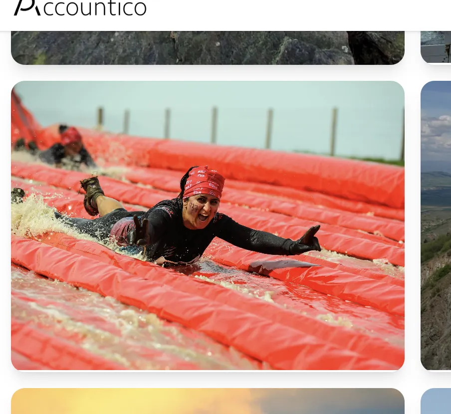 Interface screenshot for Accountico